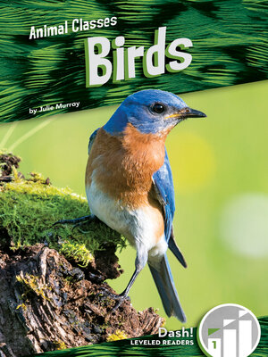 cover image of Birds